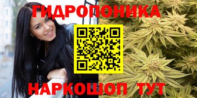 mdpv Уссурийск